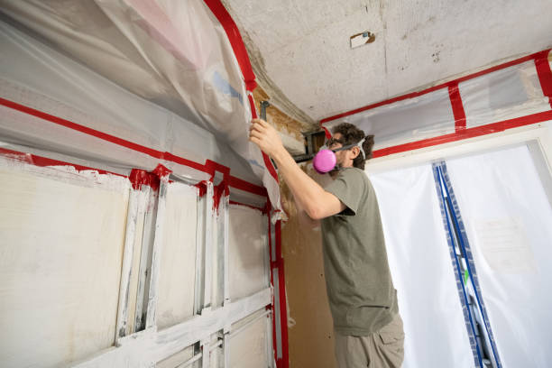 Mold Removal for HVAC Installations in Mill Bay, AK