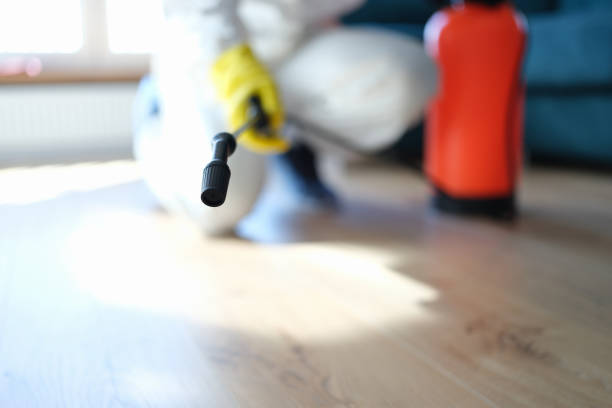 Best Forensic Mold Investigation  in Mill Bay, AK