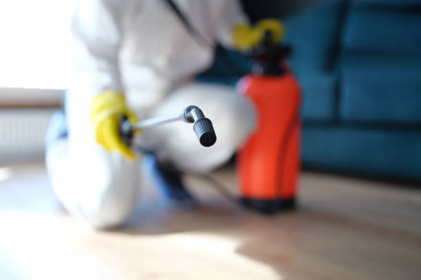 Biohazard Mold Removal in Mill Bay, AK