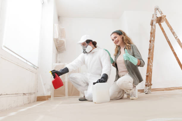 Reliable Mill Bay, AK Mold Removal Solutions